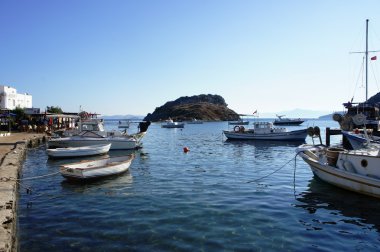 yabani tavşan Adası