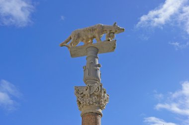 Siena. Duomo di Siena