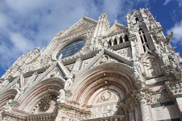 Siena. Katedra Duomo di siena — Zdjęcie stockowe