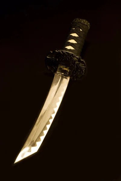 堅田 ストック写真 C Yuriy61