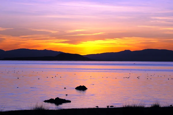 stock image Mono Lake