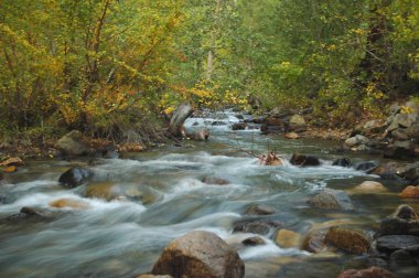 Kanlısırt'ta creek