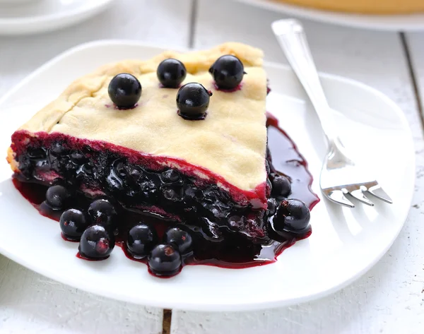Vegan juicy pie with a black currant — Stock Photo, Image