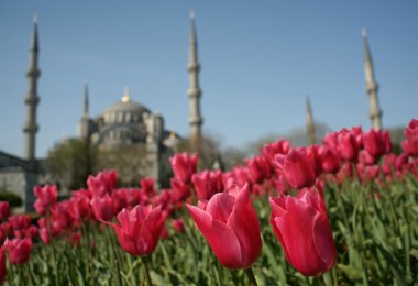 Spring in Istanbul clipart