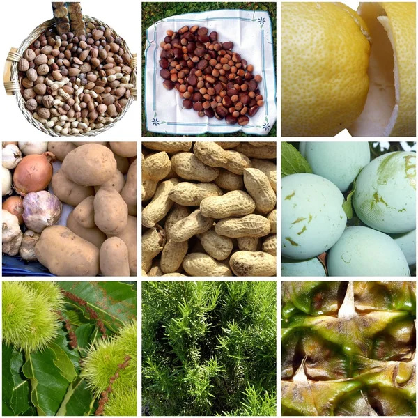 Obrázky různých druhů ovoce — Stock fotografie