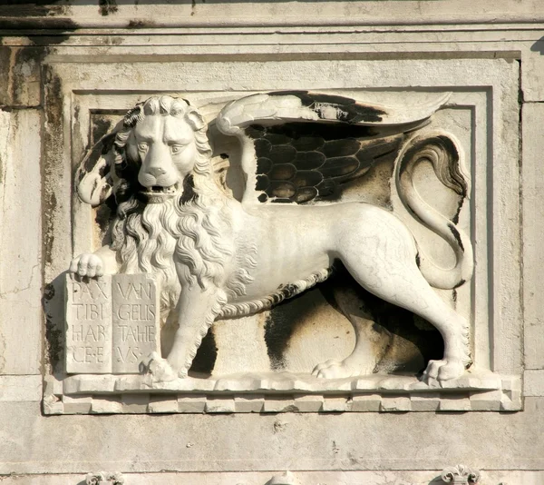 Лев ОД Венеції — стокове фото