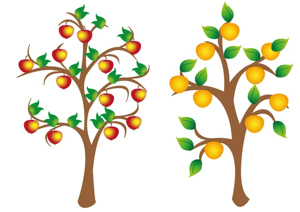 With fruit trees — Stock Vector