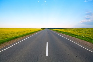 Highway of flowering fields and blue sky clipart