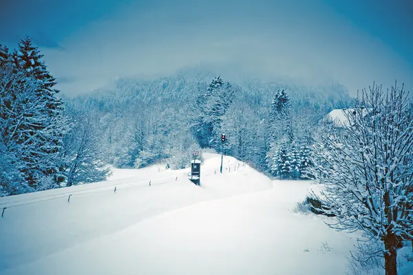 Залізниця в снігу Стокове Зображення
