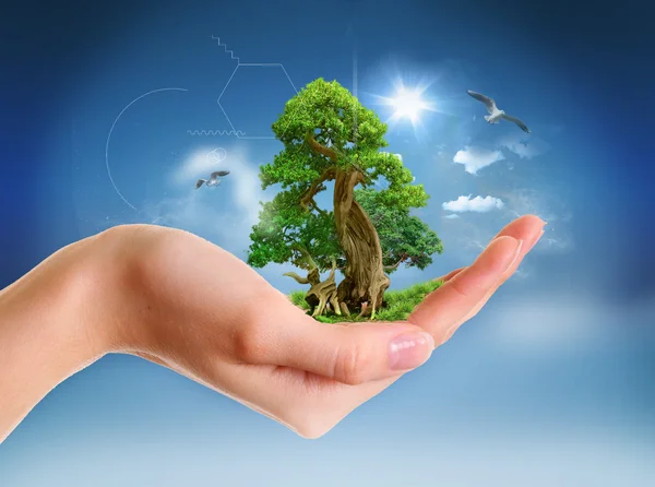 Human hand holding green landscape Stock Image