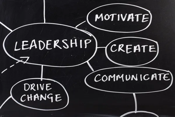 Diagrama de la estrategia de liderazgo — Stok fotoğraf