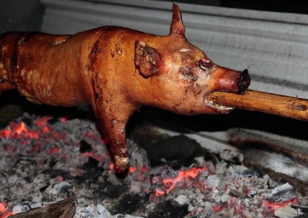 stock image Preparing a pig on a spit