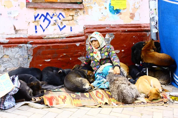 Povera vecchia e un cane affamato per strada Fotografia Stock