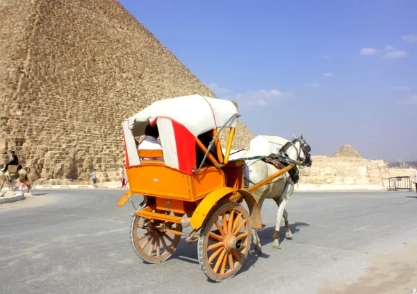 Walk around the pyramids in the cart — Stock Photo, Image