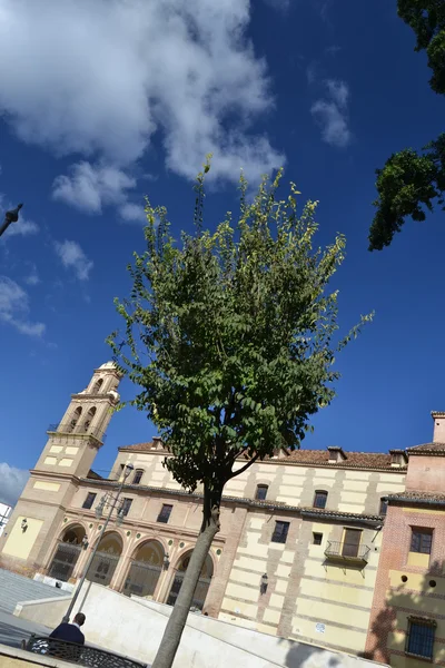 Дерево перед церковью — стоковое фото