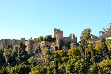 Arapça castillo malaga