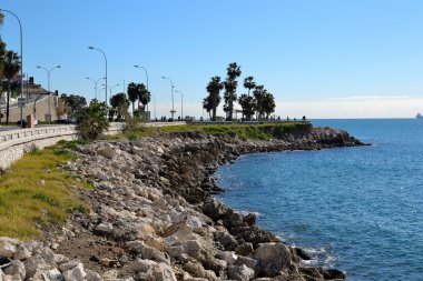 Malaga palmiye ağaçları ile mesire