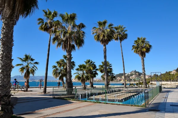 Paseo con palmeras en Málaga — Foto de Stock