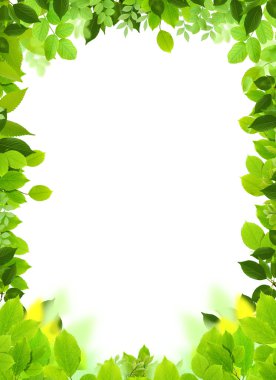 Natural frame and template clipart