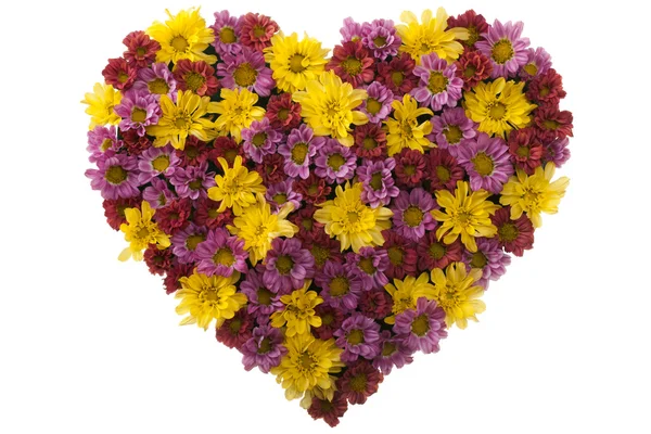 Kwiat miłość — Zdjęcie stockowe