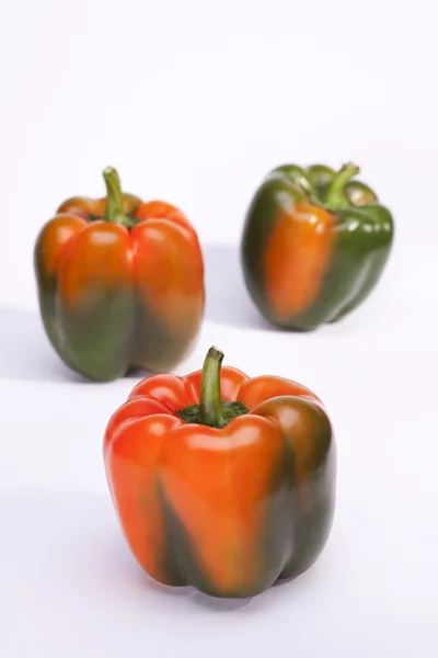 Paprika zeleninová — Stock fotografie