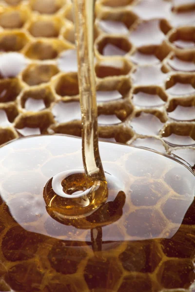 Pente de mel — Fotografia de Stock