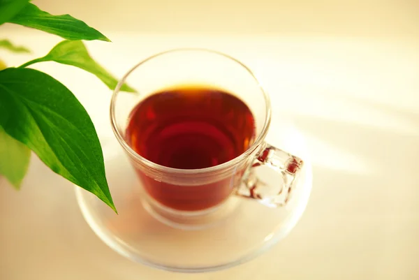 stock image Cup of black tea and leaf