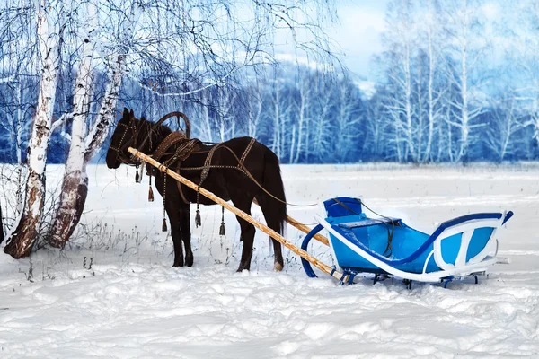 stock image Horse with a cart