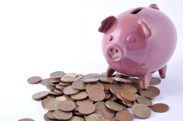 Piggy bank inserting coins — Stock Photo, Image