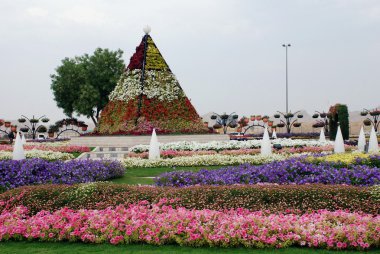 al Ain asma bahçeleri