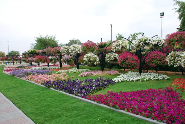 stock image Hanging gardens of Al Ain