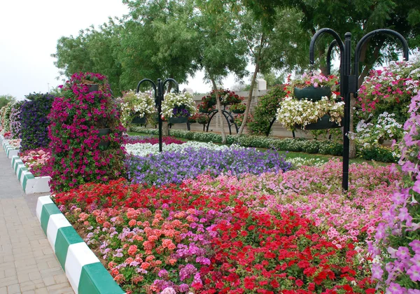 Висячі сади Al Ain — стокове фото