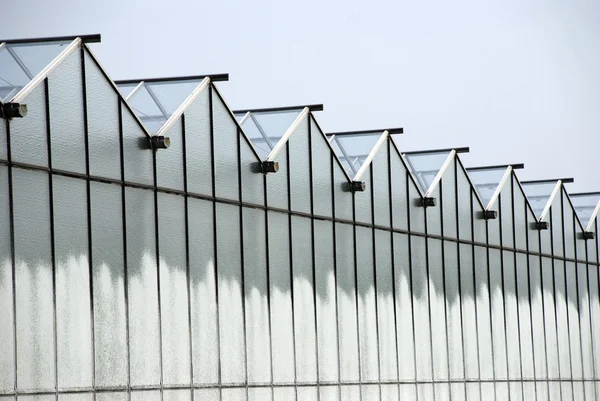 Greenhouses — Stock Photo, Image