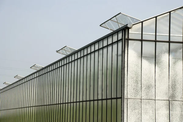 stock image Greenhouses