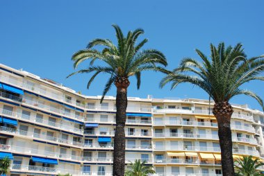 palmtrees bir otel