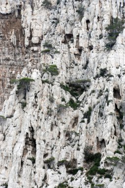 Calanques Marsilya arasındaki cassis