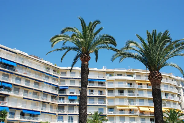 Hotel met palmbomen — Stockfoto