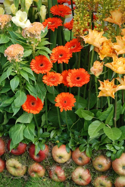Composição com flores — Fotografia de Stock