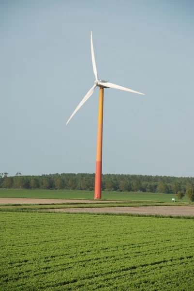 绿色能源 — 图库照片