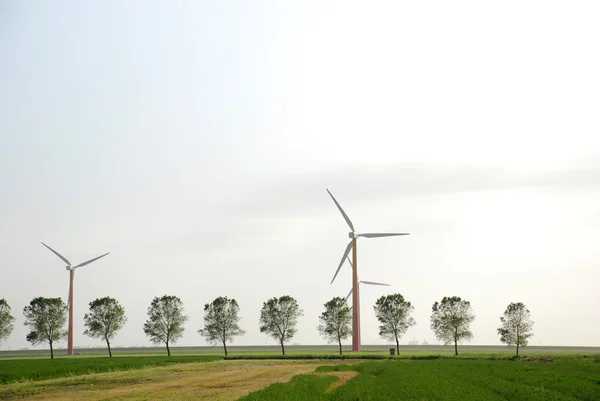 Energia verde — Fotografia de Stock