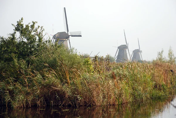Windmills — Stock Photo, Image