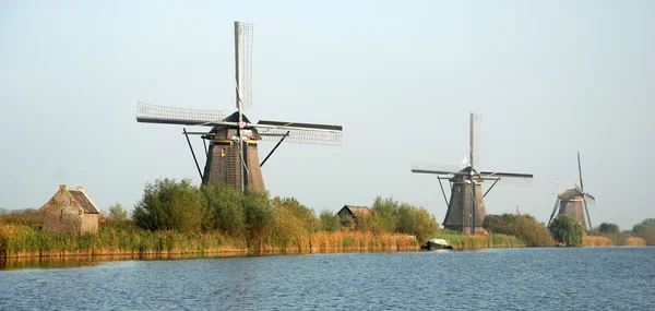 Kinderdijk의 파노라마 — 스톡 사진