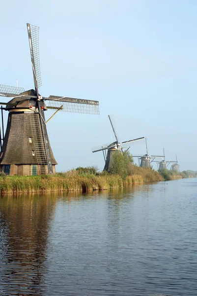 stock image Windmills