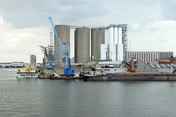 Haven van Antwerpen — Stockfoto