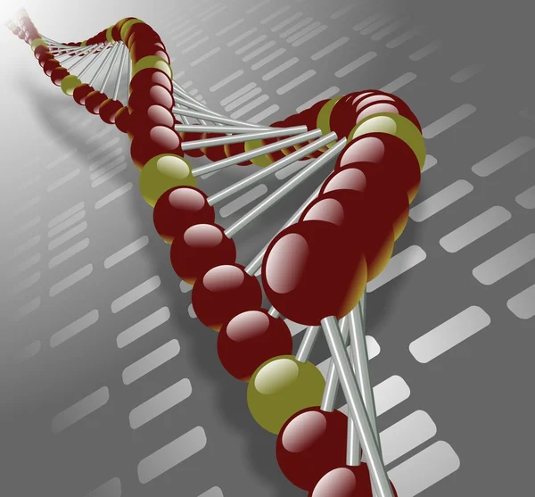 DNA strand — Stockfoto