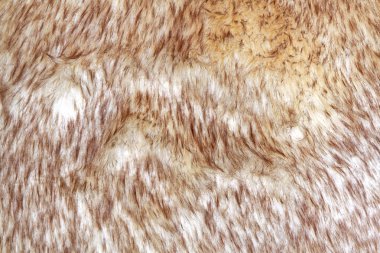 Fur texture clipart