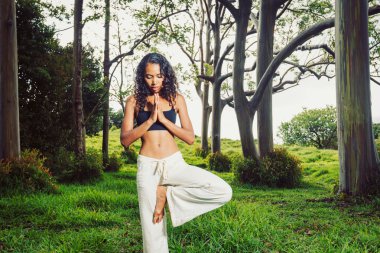 Yoga woman outside in nature clipart