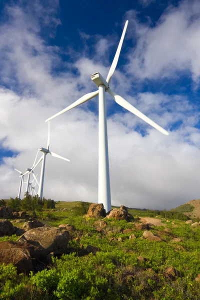 Moinhos de vento com céu azul — Fotografia de Stock