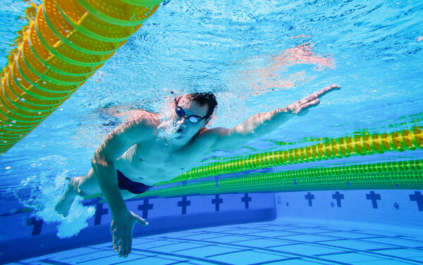 Swimmer in the Pool Underwater