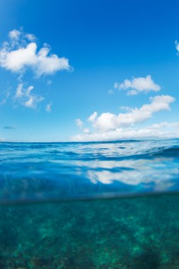 Tropical Ocean, Split View Half Over Half Underwater clipart